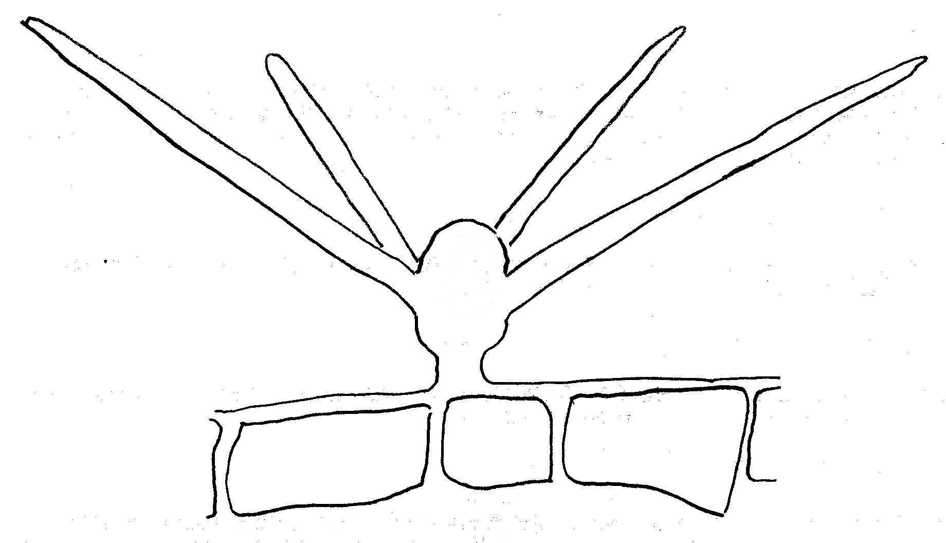 poil poly�pineux de feuilles d'aubergine 